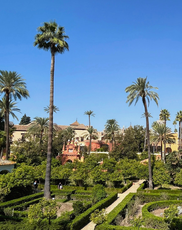 Palmengarten in Sevilla